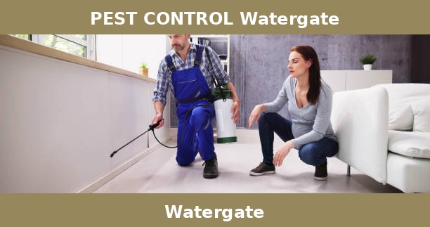 PEST CONTROL Watergate